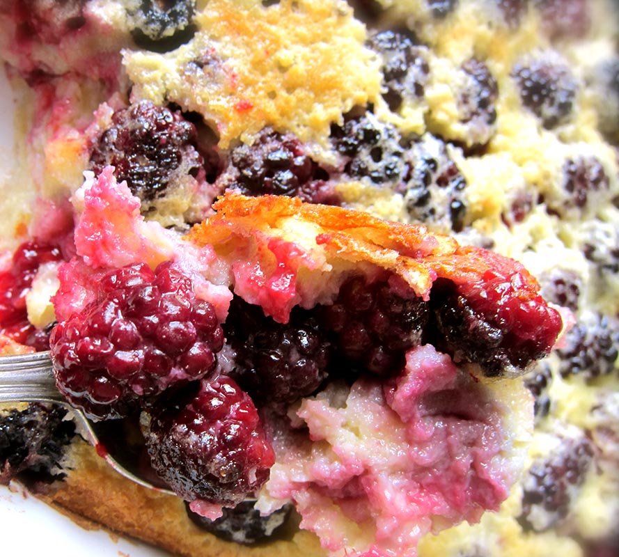 Blackberry Clafoutis Blackberry Clafoutis
