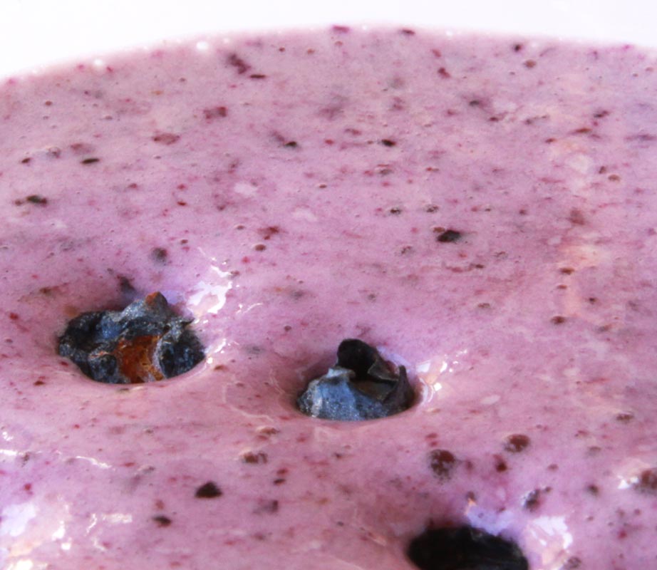 Blueberry-Vanilla-Yogurt Protein Shake Blueberry-Vanilla-Yogurt Protein Shake