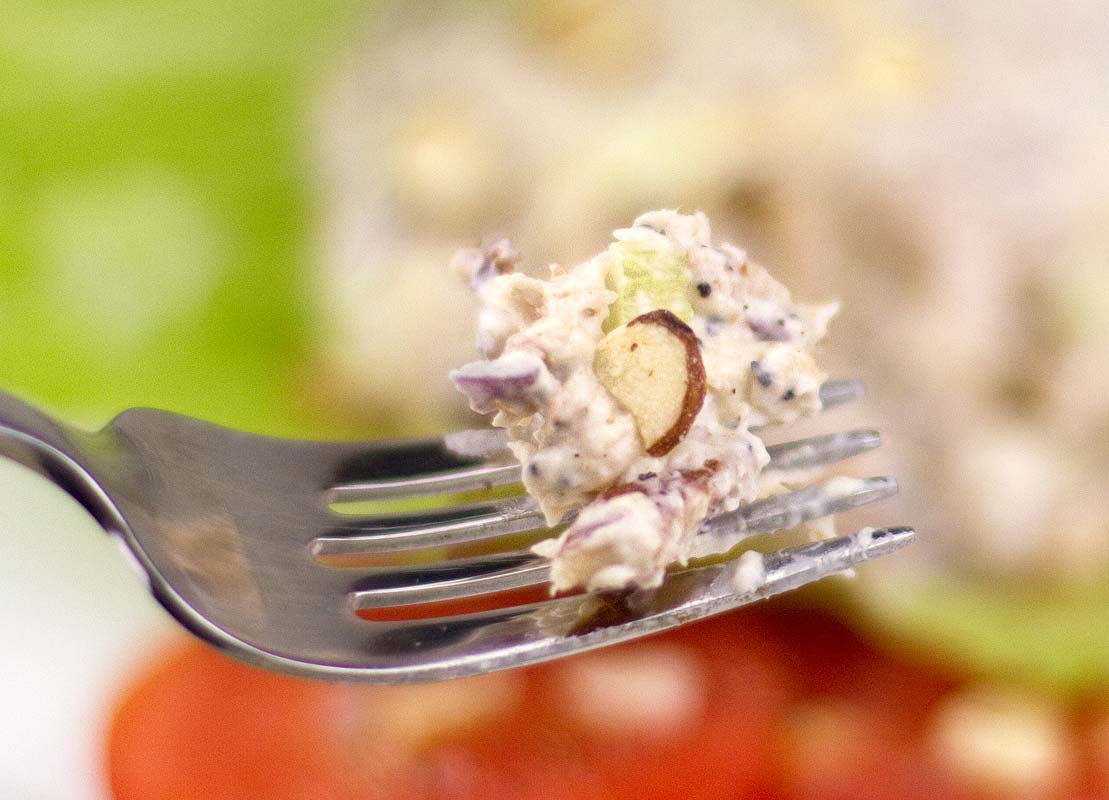 Chicken Salad Chicken Salad