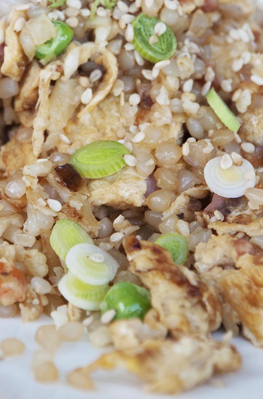 Low-Carb Fried Rice Recipe Low-Carb Fried Rice Recipe