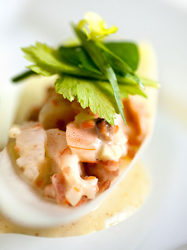 Shrimp Salad Endive Spears with Celery Leaf Salad Shrimp Salad Endive Spears with Celery Leaf Salad